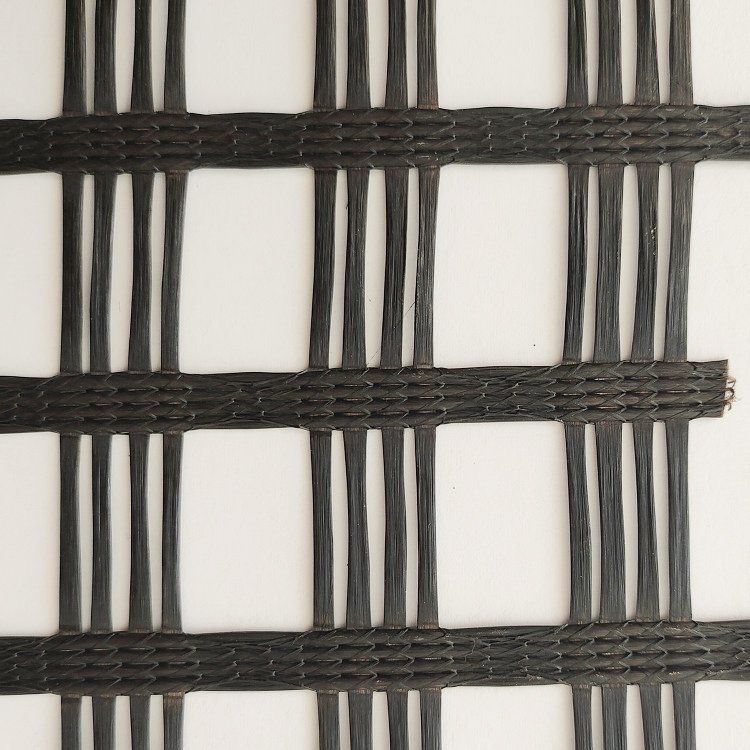 Geogrid